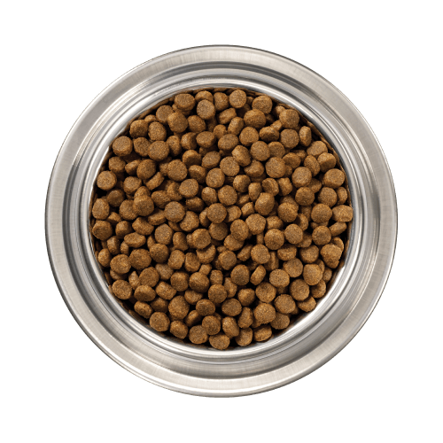 Bowl of Instinct Raw